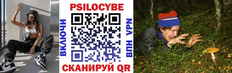 Псилоцибиновые грибы Psilocybine cubensis  Чегем 